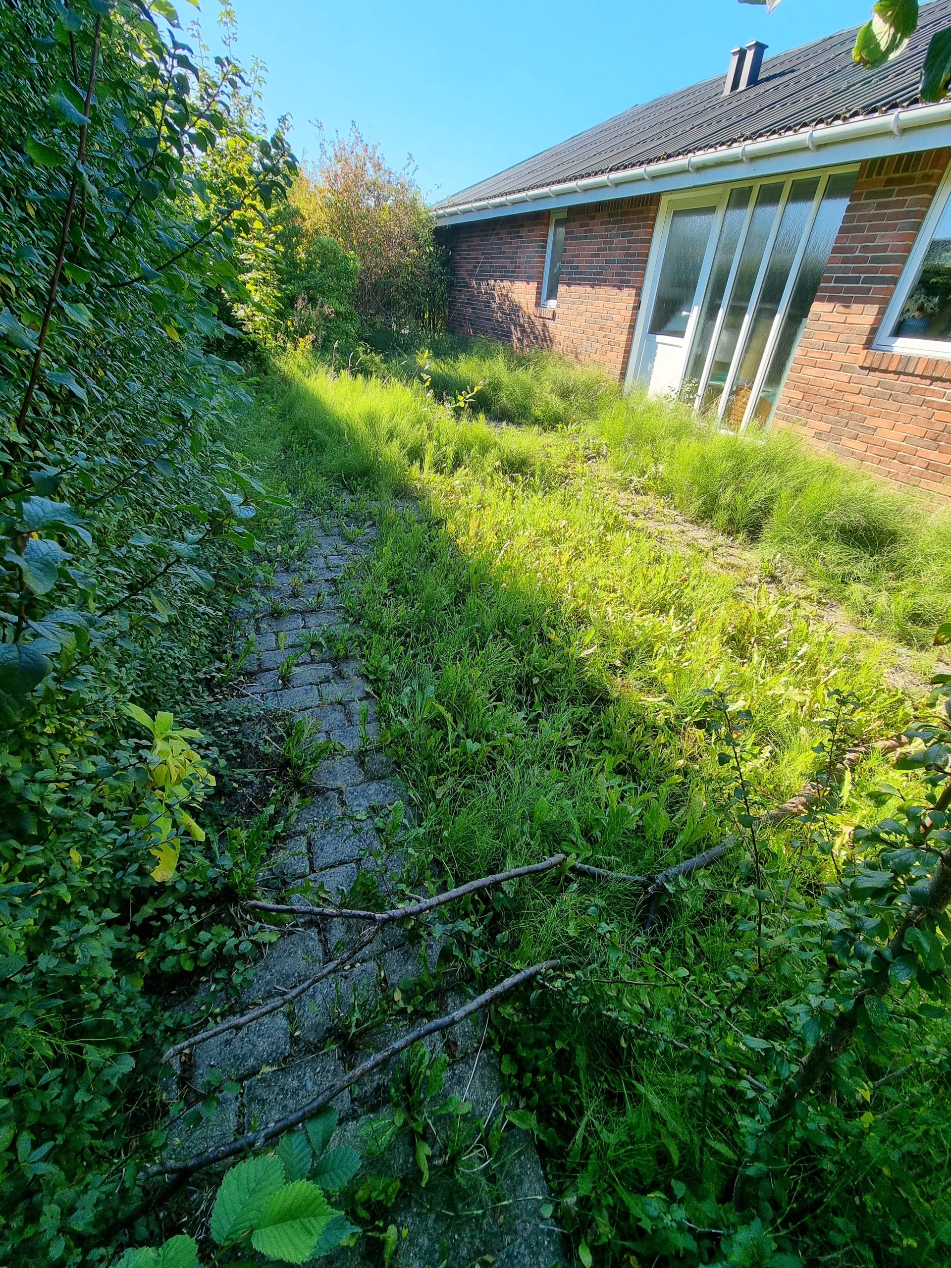 En flisebelagt havegang ved et murstenshus, der er dækket af ukrudt og vildtvoksende græs, som trænger til professionel vedligeholdelse.