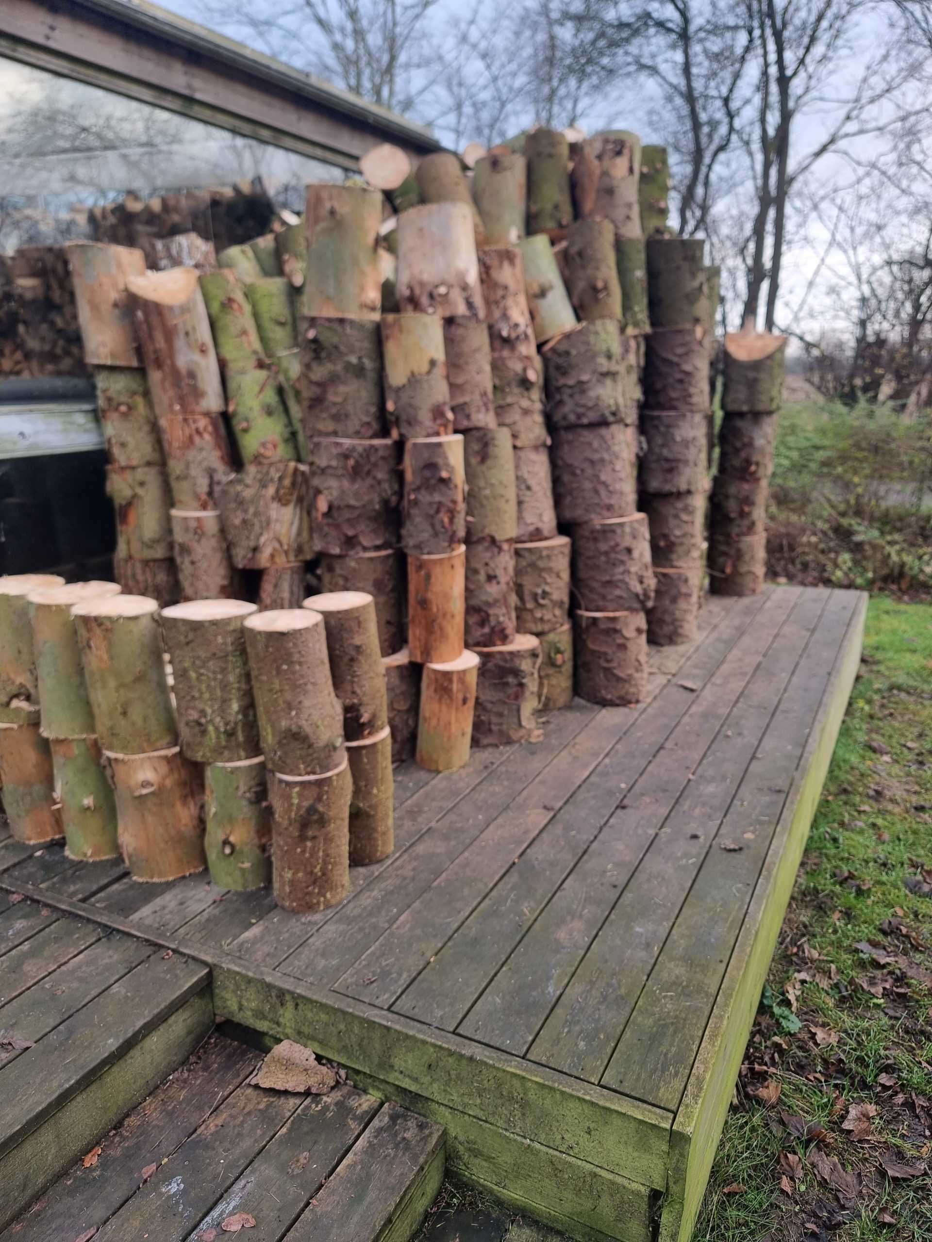 Store, runde træstammer og kævler stablet efter træfældning, klar til at blive kløvet til brænde.